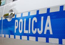 Martwy łoś w Arciechowie. Policja wyjaśnia okoliczności śmierci zwierzęcia