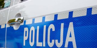 Martwy łoś w Arciechowie. Policja wyjaśnia okoliczności śmierci zwierzęcia