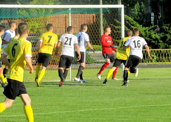 Dolcan Ząbki vs Podlasie Sokołów Podlaski, fot: Dolcan Ząbki