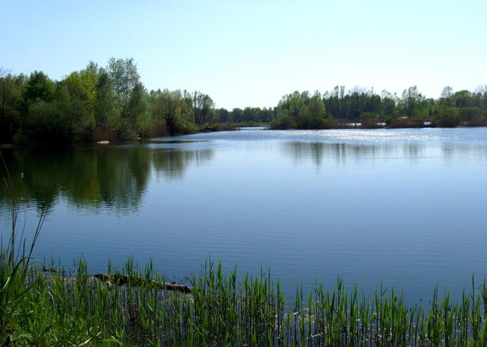 Zielonkowskie Glinianki