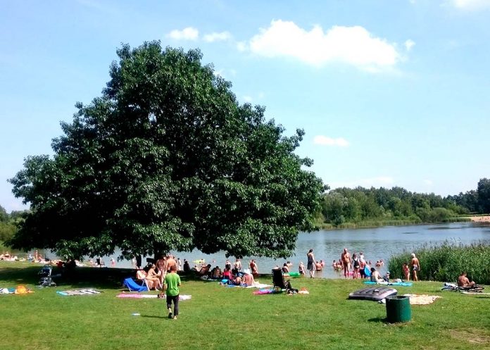 Glinianki Zielonka, fot: WWL24