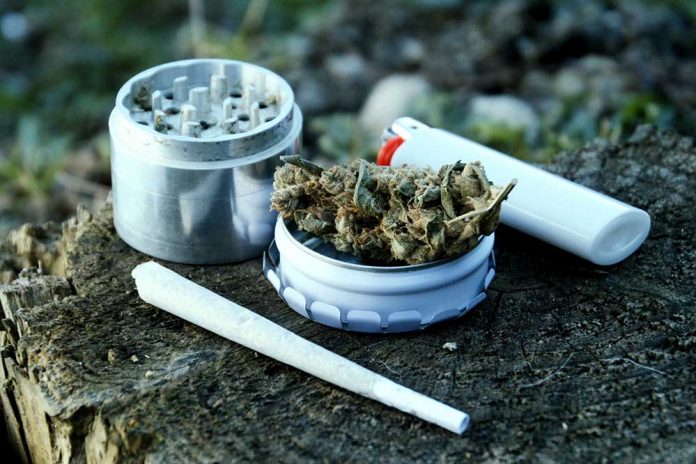 Marihuana, fot: fotolia.com
