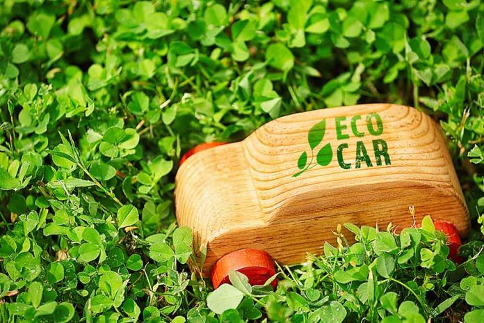 Samochód ekologiczny, ecocar