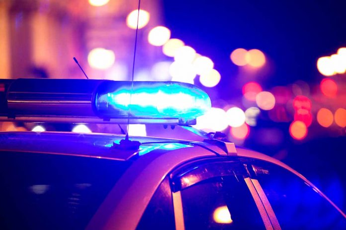 Policja, fot: Артем Константинов/fotolia.com