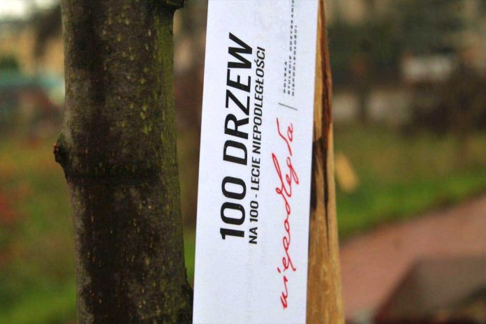 100 drzew na 100-lecie Odzyskania Niepodległości, fot: kobylka.pl