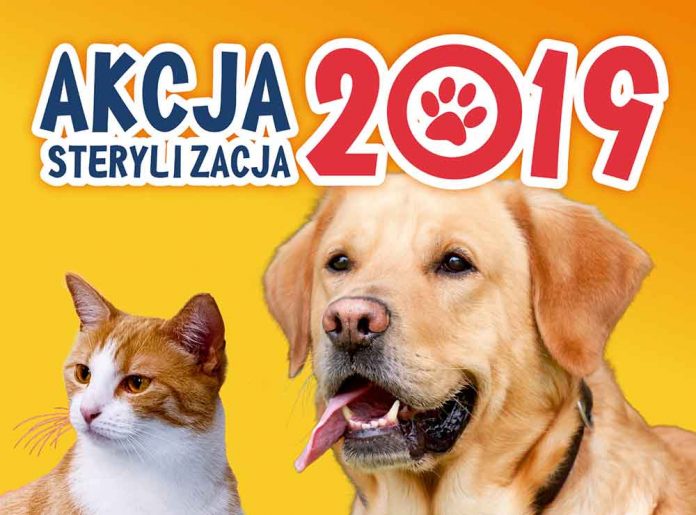 Miasto Marki sfinansuje koszty sterylizacji i kastracji