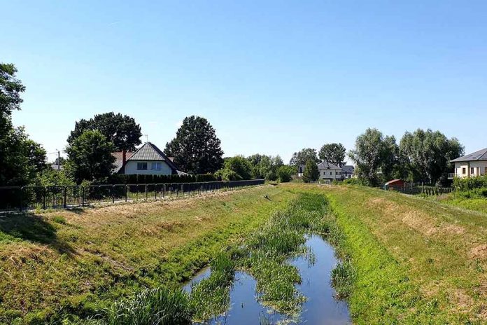 Społeczne sprzątanie rzeki Długiej, fot: marki.pl