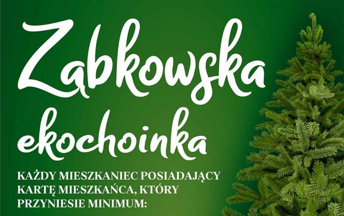 Zamień makulaturę, elektrośmieci i złom na choinkę
