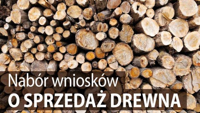 Nabór wniosków o sprzedaż drewna w Zielonce, fot: zielonka.pl