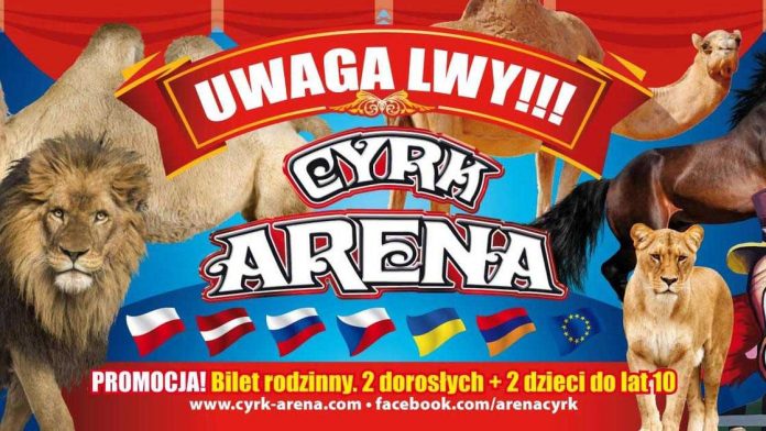 Cyrk Arena zaprasza do Kobyłki