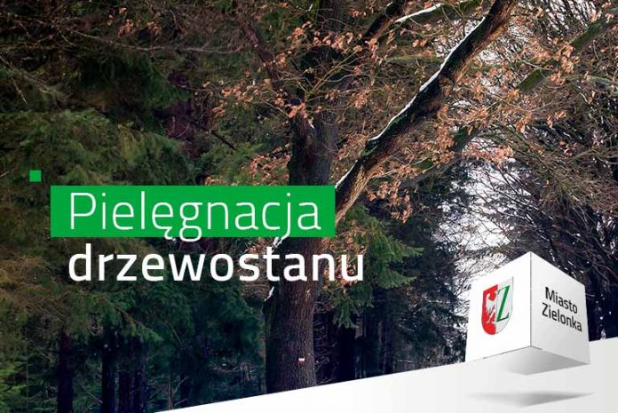 Leśnicy przeprowadzą prace pielęgnacyjne lasu w Zielonce, fot: zielonka.pl