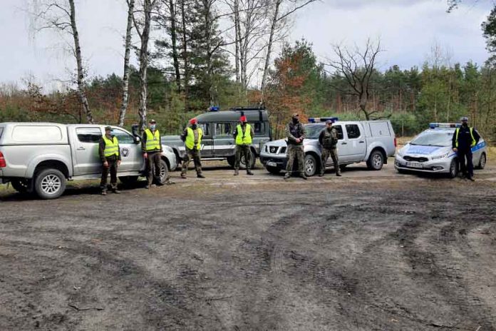 Wspólne patrole policji, straży miejskiej, żandarmerii i straży leśnej, fot: policja.pl