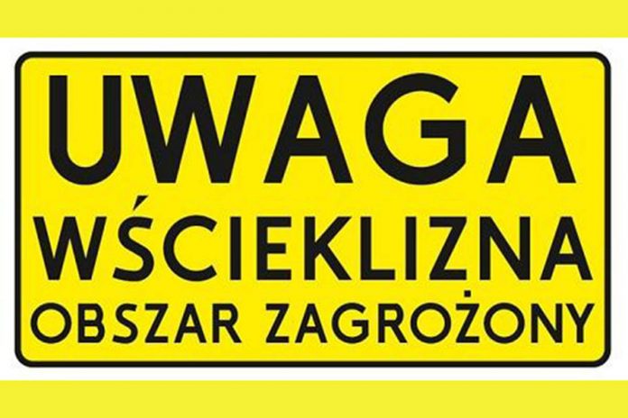 Wścieklizna