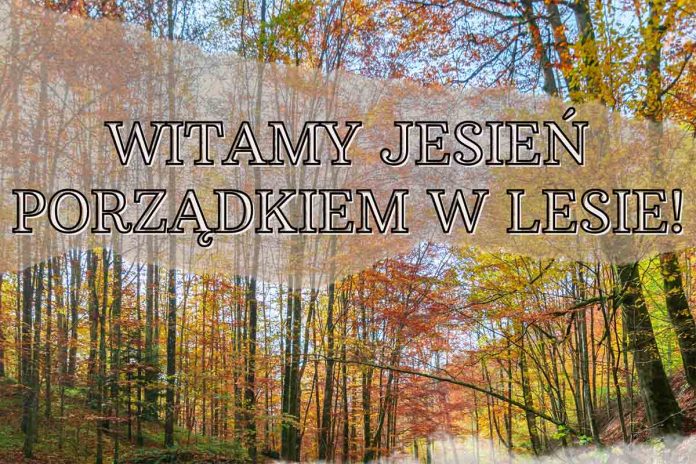 WITAMY JESIEŃ PORZĄDKIEM W LESIE!
