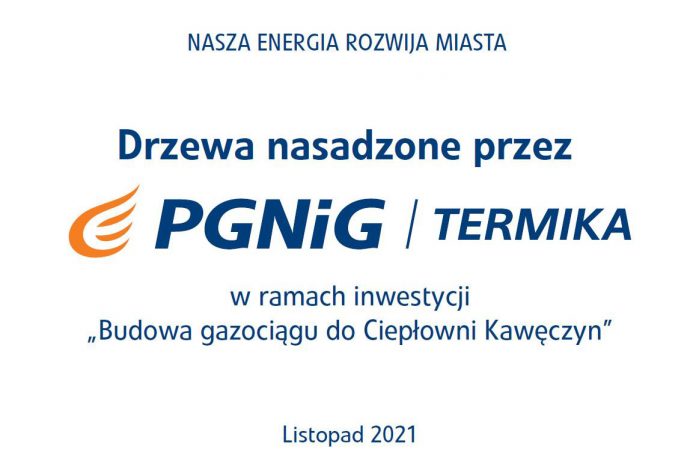 Nasadzenia przy ul. Różanej