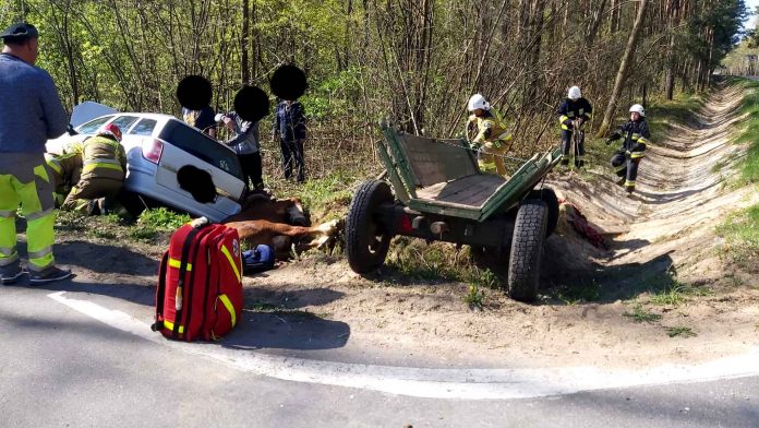 Wypadek samochodu osobowego z zaprzęgiem, fot: OSP Jadów