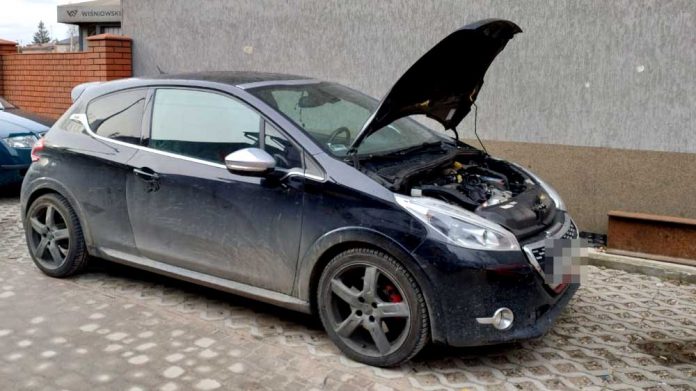 Paser i złodziej w rękach policji, fot. policja.pl