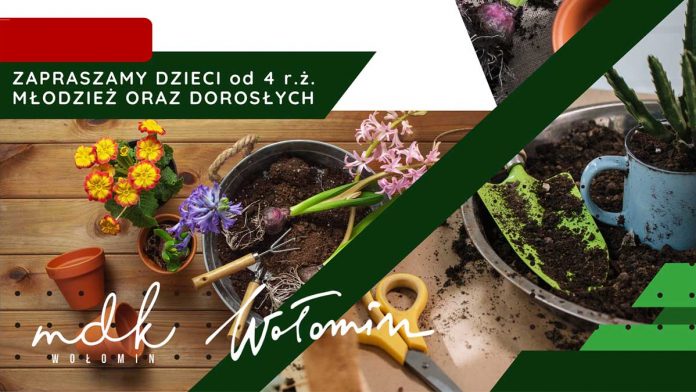 Rodzinne warsztaty artystyczno-ogrodnicze