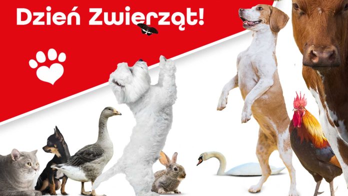 Samorząd Mazowsza pomaga czworonożnym przyjaciołom nie tylko od święta