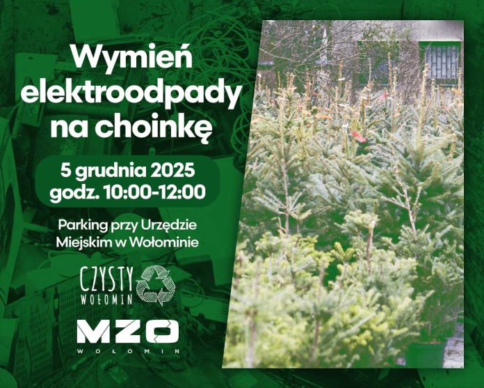Oddaj elektroodpady – odbierz świąteczne drzewko! Akcja w Wołominie