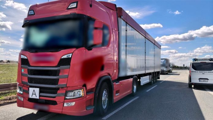 Ponad 127 godzin bez wymaganych wpisów. ITD skontrolowała ciężarówkę na S8 pod Radzyminem, fot. Wojewódzki Inspektorat Transportu Drogowego w Radomiu