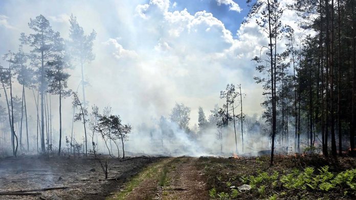 Dramat po akcji gaśniczej. Dwie jednostki OSP walczą teraz o nowy sprzęt, fot. OSP Turze
