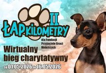 Marki ruszyły po pomoc dla zwierząt – trwa charytatywna akcja Łap Kilometry