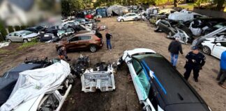 Kradli i „legalizowali” Toyoty. Zatrzymania w Zielonce, odzyskano 25 samochodów