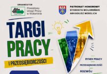 Targi Pracy w Wołominie. Oferty pracy, staże, szkolenia i konsultacje