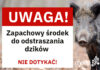 Marki walczą z dzikami. W mieście pojawią się specjalne odstraszacze zapachowe