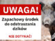 Marki walczą z dzikami. W mieście pojawią się specjalne odstraszacze zapachowe
